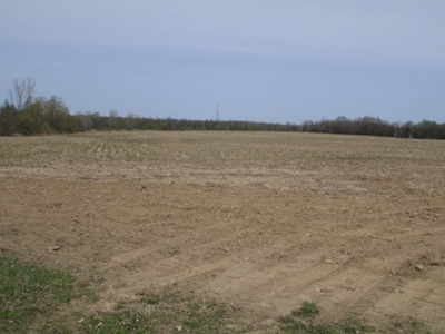 360 +/- Acres in 4 Tracts, Land Auction, Zehr Farms featured photo 5