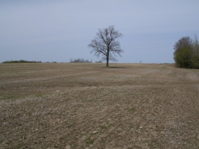 360 +/- Acres in 4 Tracts, Land Auction, Zehr Farms featured photo 9