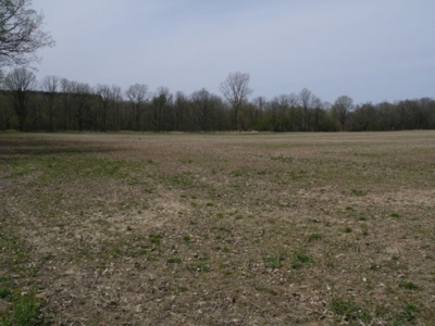 360 +/- Acres in 4 Tracts, Land Auction, Zehr Farms featured photo 11