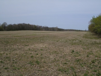 360 +/- Acres in 4 Tracts, Land Auction, Zehr Farms featured photo 10