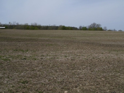 360 +/- Acres in 4 Tracts, Land Auction, Zehr Farms featured photo 8