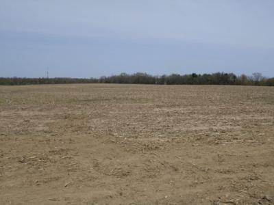 360 +/- Acres in 4 Tracts, Land Auction, Zehr Farms featured photo 7
