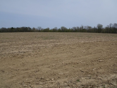 360 +/- Acres in 4 Tracts, Land Auction, Zehr Farms featured photo 6