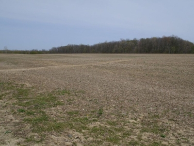 360 +/- Acres in 4 Tracts, Land Auction, Zehr Farms featured photo 12