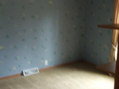 3950 Summer Trail, Greenbush, MI featured photo 9