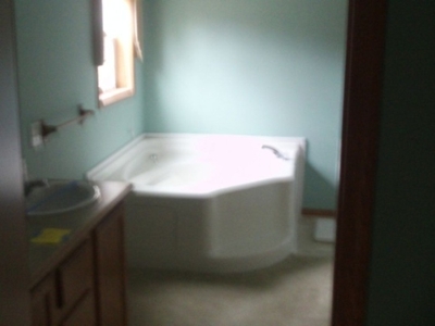 3950 Summer Trail, Greenbush, MI featured photo 6