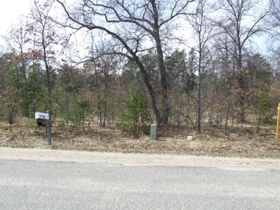 Crestwood Drive-Grayling,Michigan featured photo