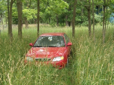 120 +/- Acres Shiawassee County featured photo 3