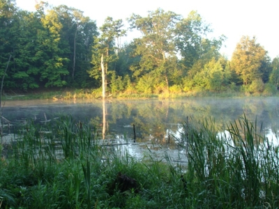 58 Acre Land Auction, Mt Pleasant, MI featured photo 2