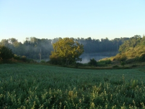 58 Acre Land Auction, Mt Pleasant, MI featured photo 16