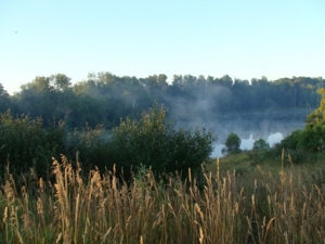 58 Acre Land Auction, Mt Pleasant, MI featured photo 15