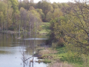 58 Acre Land Auction, Mt Pleasant, MI featured photo 26