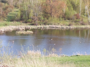 58 Acre Land Auction, Mt Pleasant, MI featured photo 23