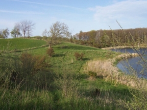 58 Acre Land Auction, Mt Pleasant, MI featured photo 34