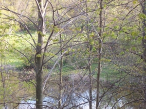 58 Acre Land Auction, Mt Pleasant, MI featured photo 39