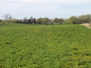 58 Acre Land Auction, Mt Pleasant, MI featured photo 38