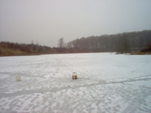 58 Acre Land Auction, Mt Pleasant, MI featured photo 50