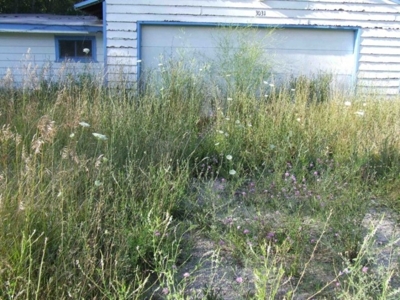3031 E 12 Rd, Manton, MI featured photo 3