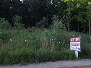 25th St. Allegan, MI featured photo 1