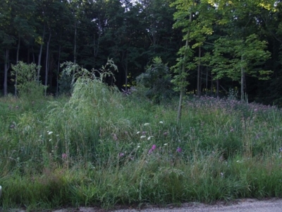 25th St. Allegan, MI featured photo 4