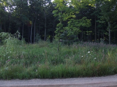 25th St. Allegan, MI featured photo 5