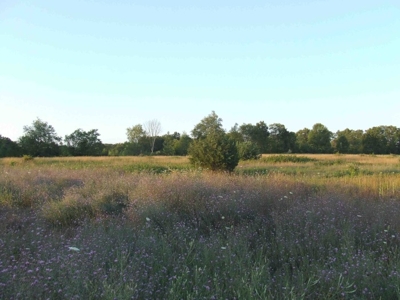 4.2 Acres, Westbrook Rd, Ionia, Mi featured photo 1