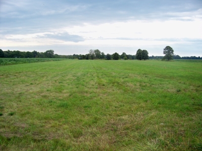 Onondaga Rd, Holt, MI featured photo 1