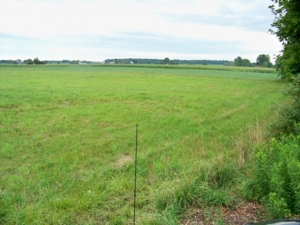 Onondaga Rd, Holt, MI featured photo 3