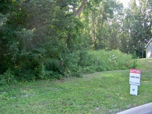 Lot # 119, Williamsburg Rd, Lansing featured photo 1