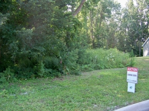 Lot # 119, Williamsburg Rd, Lansing featured photo 3