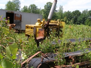 Spring Aggregate featured photo 57