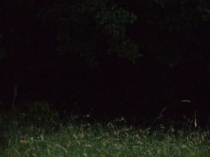 1444 S. Mertz (M-24) Rd Caro, MI featured photo 3