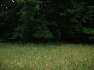 1444 S. Mertz (M-24) Rd Caro, MI featured photo 4