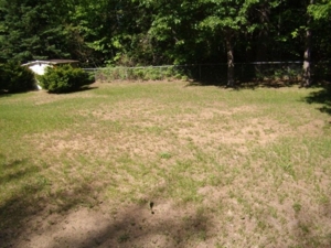 111 Forest Park, Prudenville, MI featured photo 14