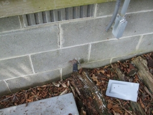 5590 Egner St., Cedar Springs, MI featured photo 6