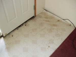 5590 Egner St., Cedar Springs, MI featured photo 13