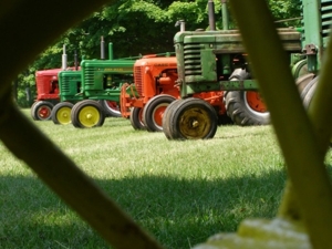 The Ledwidge Estate featured photo 71