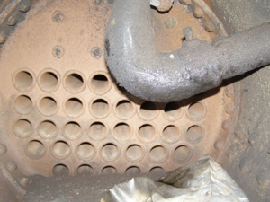 The Ledwidge Estate featured photo 99