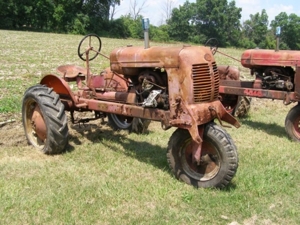 The Ledwidge Estate featured photo 114