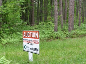 Vanderbilt Land Auction--160 Acres featured photo 1