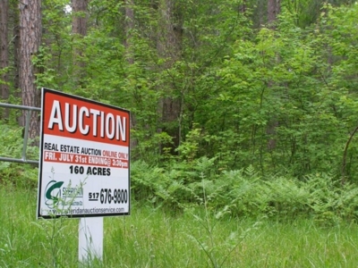 Vanderbilt Land Auction--160 Acres featured photo 5