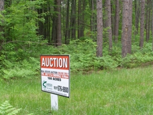 Vanderbilt Land Auction--160 Acres featured photo 9