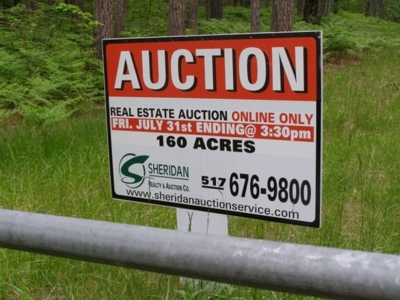 Vanderbilt Land Auction--160 Acres featured photo 8
