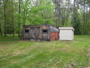 22472 Cutler Rd, Howard City featured photo 3