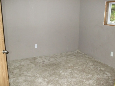 22472 Cutler Rd, Howard City featured photo 7