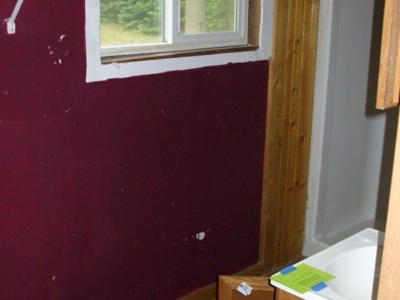 22472 Cutler Rd, Howard City featured photo 10