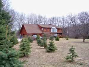 Trophy Real Estate Auction featured photo 4