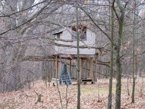 Trophy Real Estate Auction featured photo 8