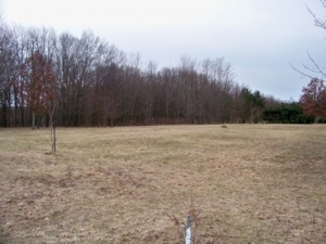 Trophy Real Estate Auction featured photo 15