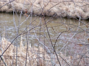 Trophy Real Estate Auction featured photo 21